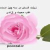 انسانیت واژه ی غریب عصر ما