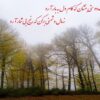 تک بیت های شاعران معروف درباره دوستی
