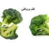 نحوه تهیه و پخت کوکوی کلم بروکلی
