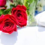 تاثیر گل رز بر پوست و زیبایی