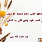 تک بیت های ناب درباره قناعت