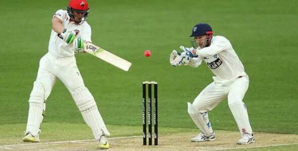 تحقیق درباره ورزش کریکت